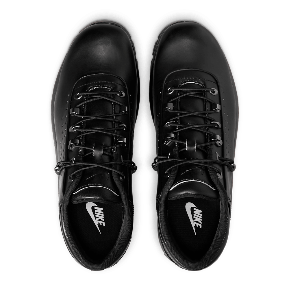 Nike Air Max Goadome Low SP